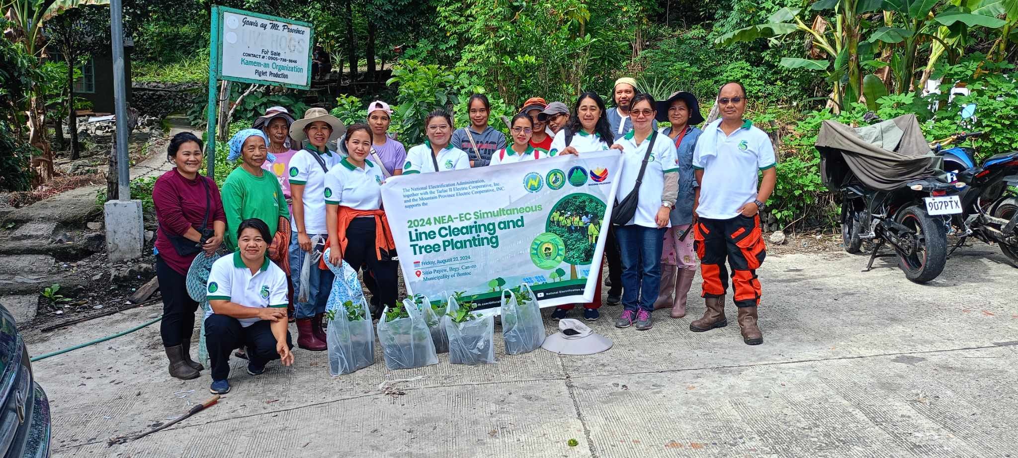August 2024: Tree Planting and Line Clearing